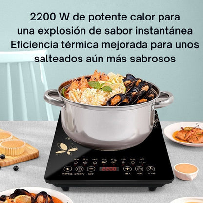CALENTADOR DE INDUCCION