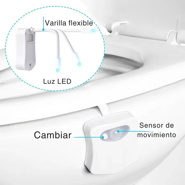 Luz Nocturna WC Inteligente