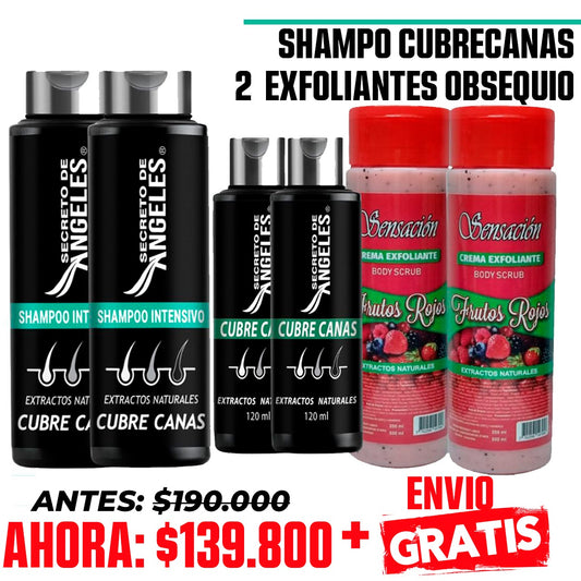 SECRETO DE ANGELES - SHAMPOO CUBRE CANAS