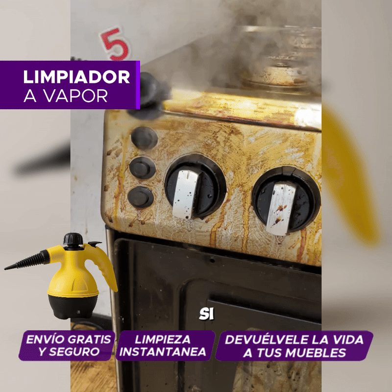 VAPORPRO LIMPIEZA PROFUNDA
