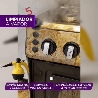 VAPORPRO LIMPIEZA PROFUNDA